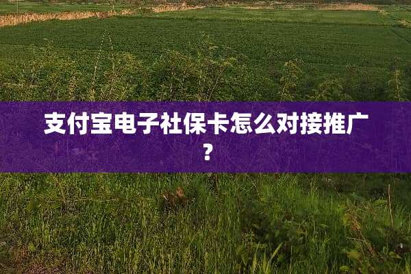 支付宝电子社保卡怎么对接推广？