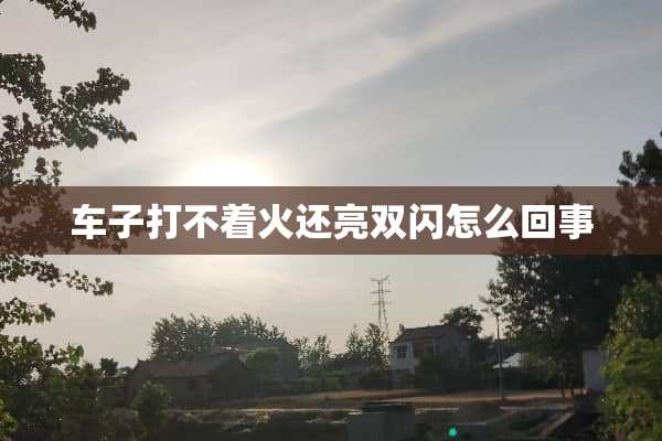 车子打不着火还亮双闪怎么回事