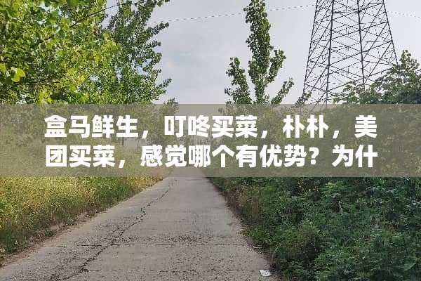 盒马鲜生，叮咚买菜，朴朴，美团买菜，感觉哪个有优势？为什么？