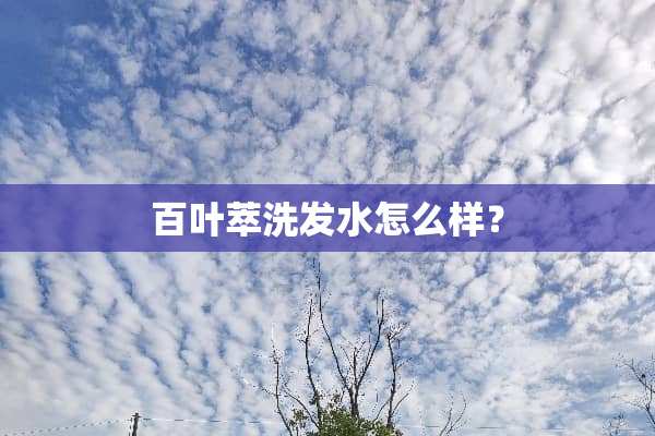 百叶萃洗发水怎么样？