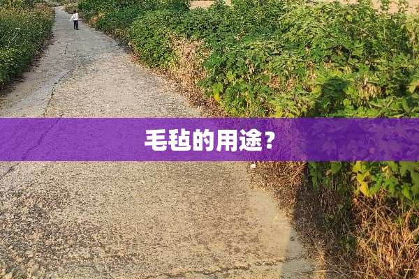 毛毡的用途？