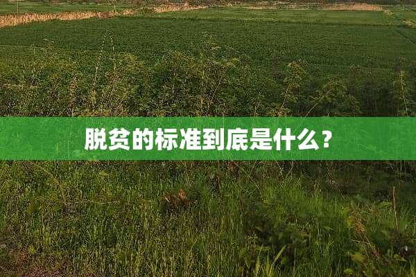 脱贫的标准到底是什么？