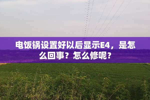 电饭锅设置好以后显示E4，是怎么回事？怎么修呢？