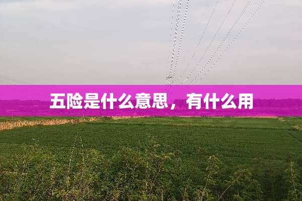 五险是什么意思，有什么用