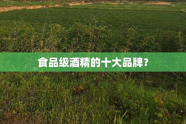 食品级酒精的十大品牌？