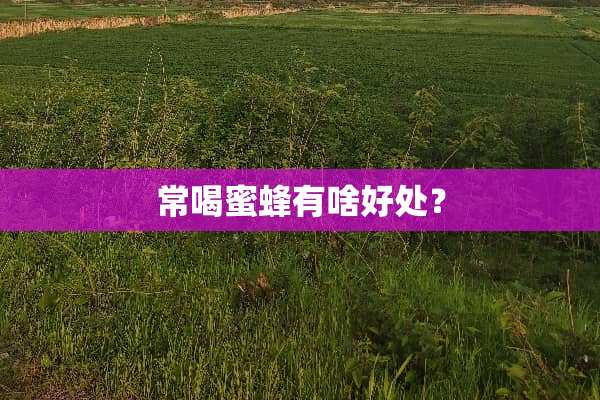 常喝蜜蜂有啥好处？