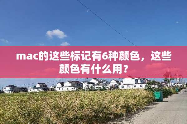 mac的这些标记有6种颜色，这些颜色有什么用？