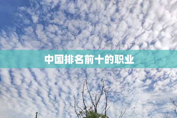 中国排名前十的职业
