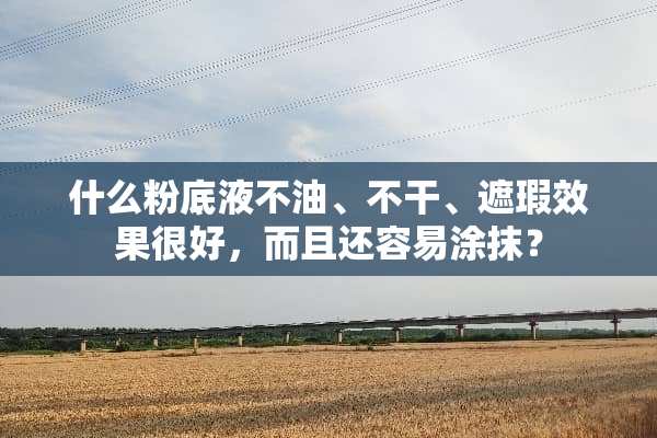 什么粉底液不油、不干、遮瑕效果很好，而且还容易涂抹？