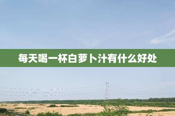 每天喝一杯白萝卜汁有什么好处