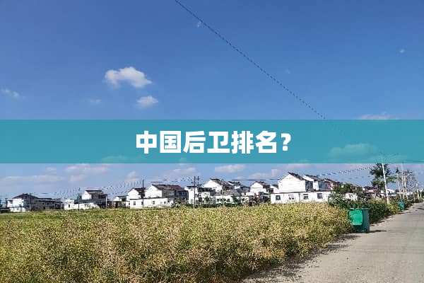 中国后卫排名？