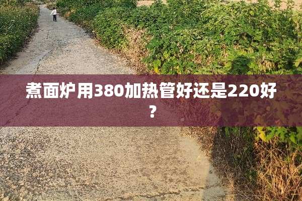 煮面炉用380加热管好还是220好？