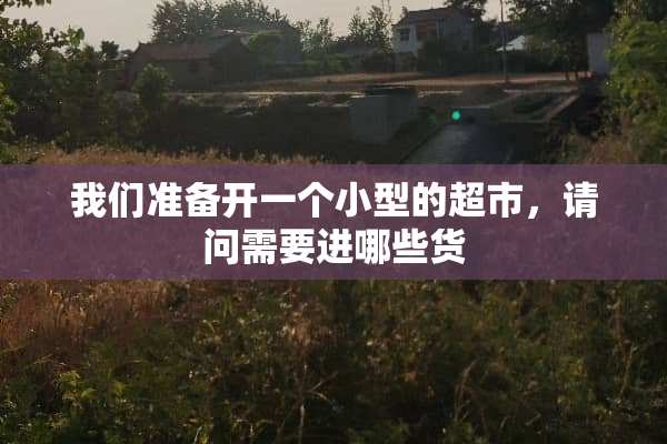 我们准备开一个小型的超市，请问需要进哪些货