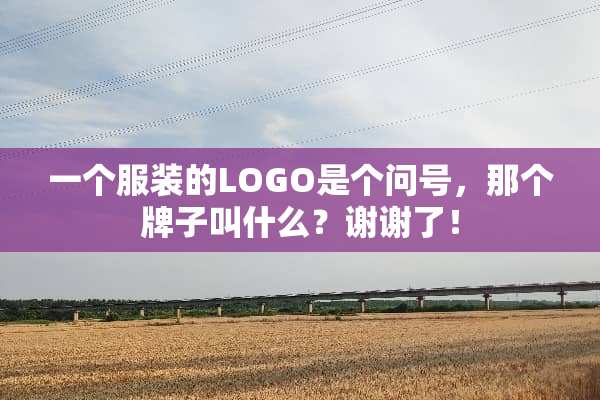 一个服装的LOGO是个问号，那个牌子叫什么？谢谢了！