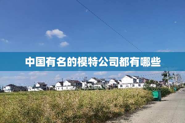 中国有名的模特公司都有哪些