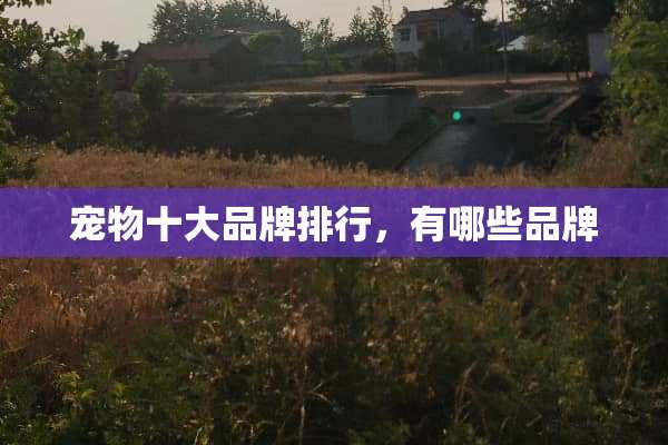 宠物十大品牌排行，有哪些品牌