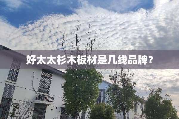 好太太杉木板材是几线品牌？
