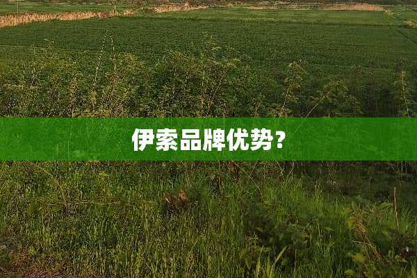 伊索品牌优势？