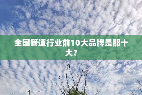 全国管道行业前10大品牌是那十大？
