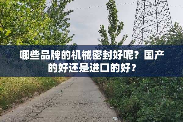哪些品牌的机械密封好呢？国产的好还是进口的好？