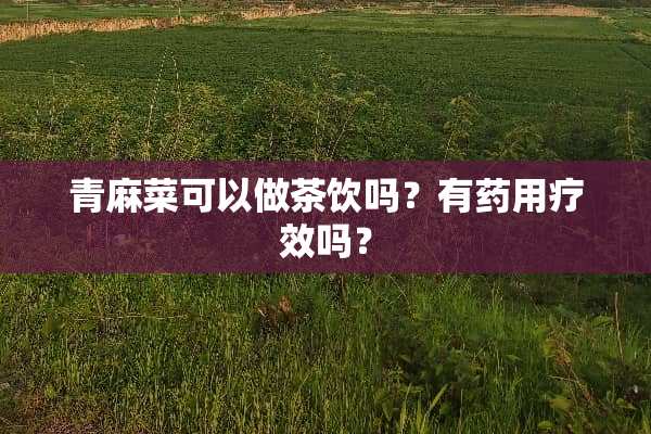 青麻菜可以做茶饮吗？有药用疗效吗？
