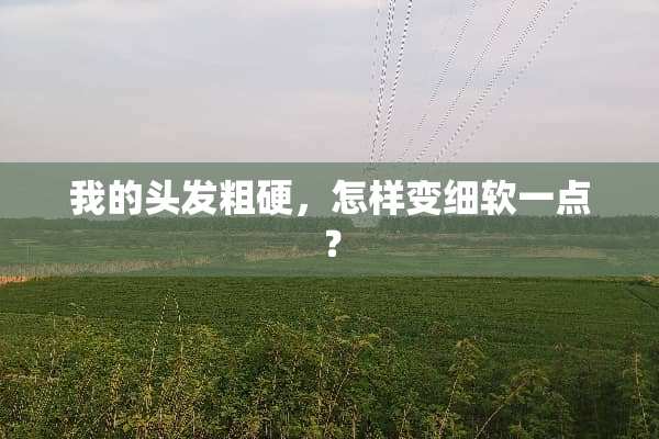 我的头发粗硬，怎样变细软一点？