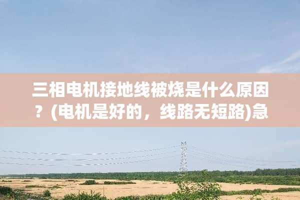 三相电机接地线被烧是什么原因？(电机是好的，线路无短路)急