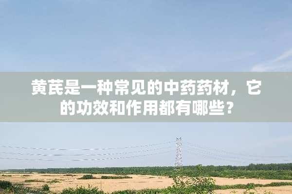 黄芪是一种常见的中药药材，它的功效和作用都有哪些？