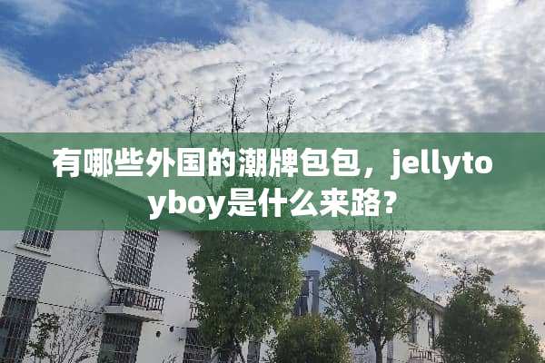 有哪些外国的潮牌包包，jellytoyboy是什么来路？