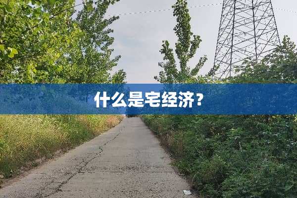 什么是宅经济？