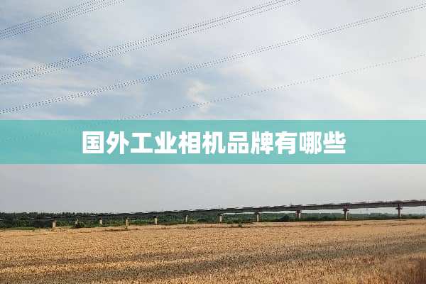 国外工业相机品牌有哪些