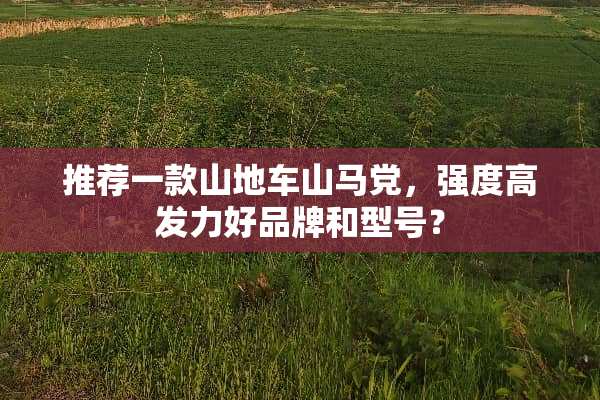 推荐一款山地车山马*，强度高发力好品牌和型号？