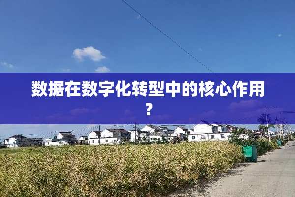数据在数字化转型中的核心作用？