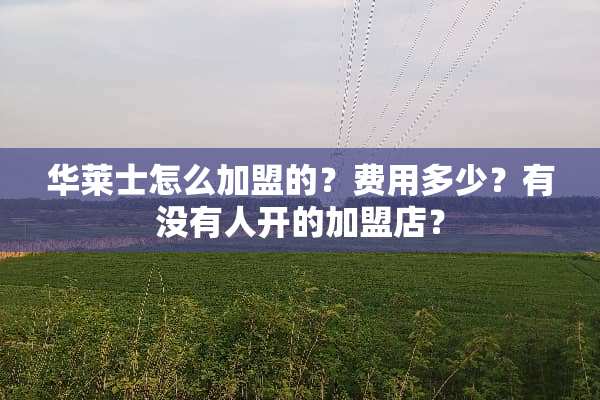 华莱士怎么加盟的？费用多少？有没有人开的加盟店？