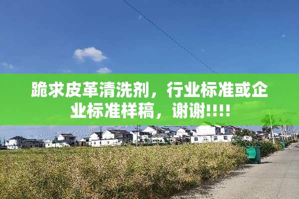 跪求皮革清洗剂，行业标准或企业标准样稿，谢谢!!!!