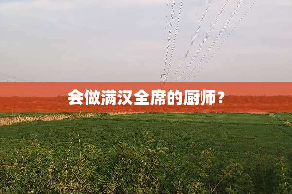 会做满汉全席的厨师？