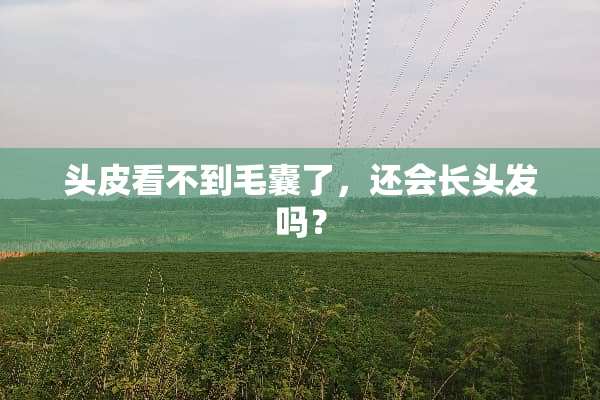头皮看不到毛囊了，还会长头发吗？