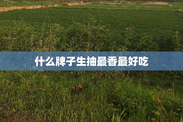 什么牌子生抽最香最好吃