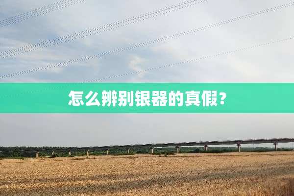 怎么辨别银器的真假？