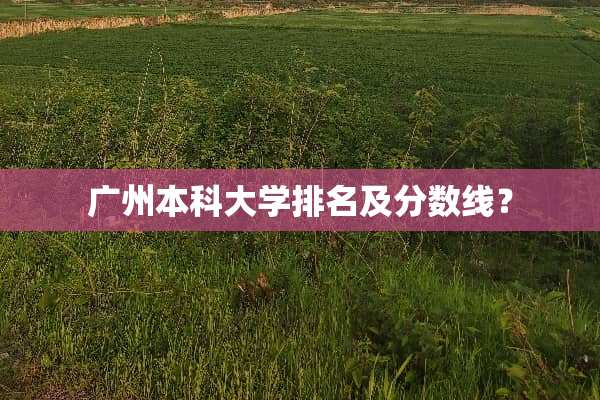 广州本科大学排名及分数线？