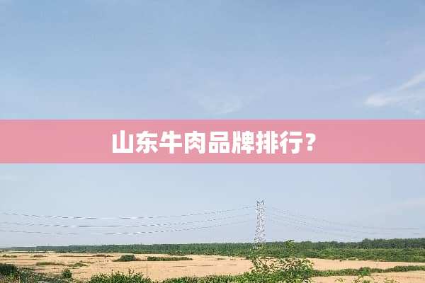 山东牛肉品牌排行？