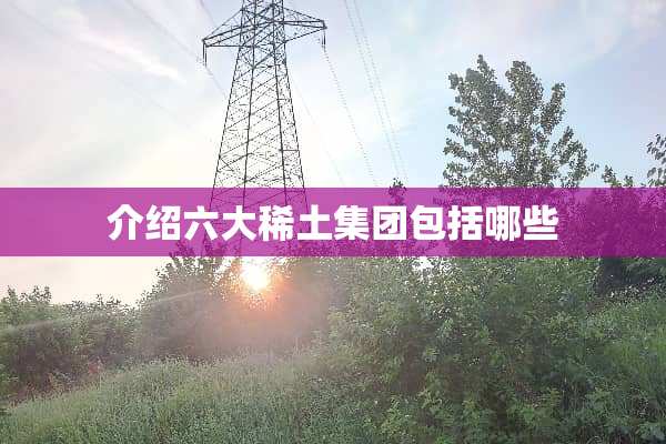 介绍六大**集团包括哪些
