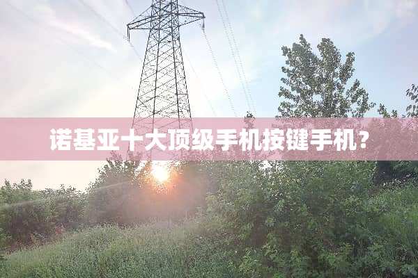 诺基亚十大**手机按键手机？
