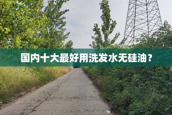 国内十大最好用洗发水无硅油？