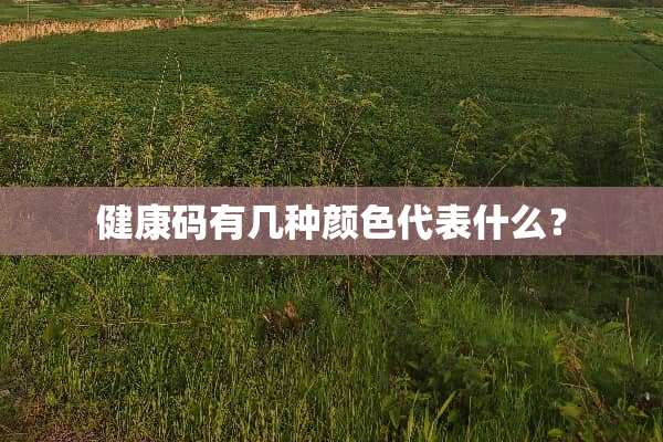 健康码有几种颜色代表什么？
