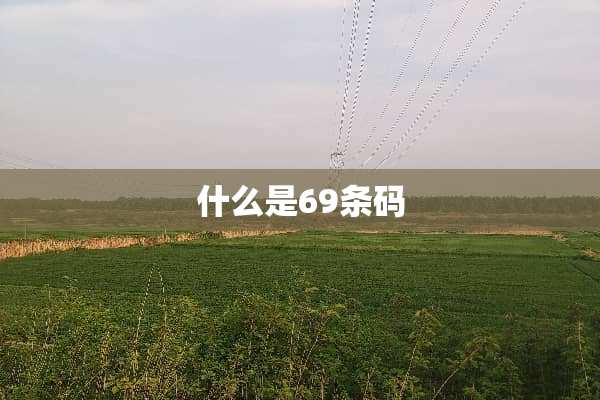 什么是69条码