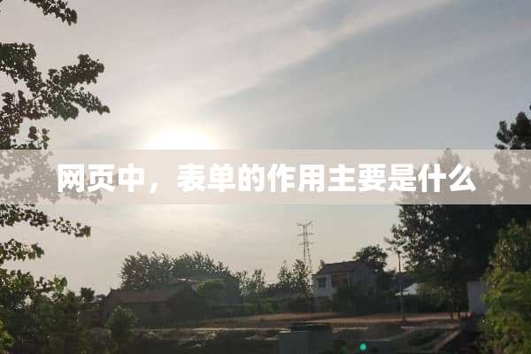 网页中，表单的作用主要是什么