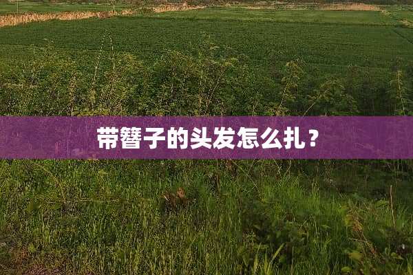 带簪子的头发怎么扎？