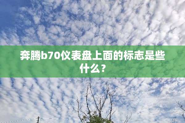 奔腾b70仪表盘上面的标志是些什么？
