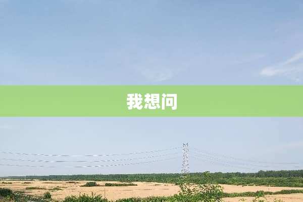 我想问